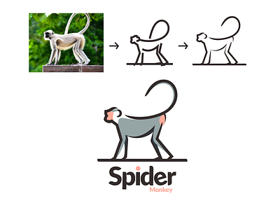 Spider Monkey brand branding design graphic illustration inspiration logo ui ux vector