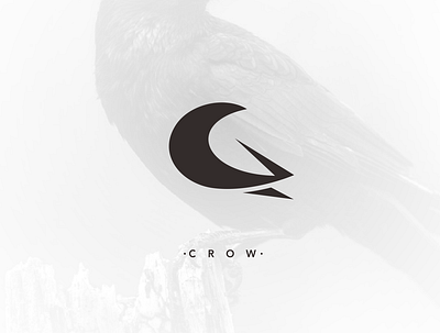 crow brand branding design graphic illustration inspiration logo ui ux vector