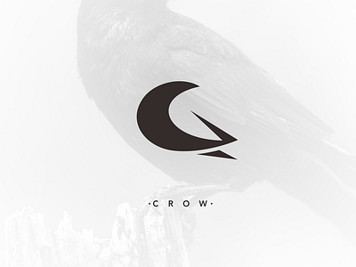 crow