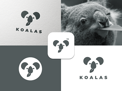 Koalas designs, themes, templates and downloadable graphic 