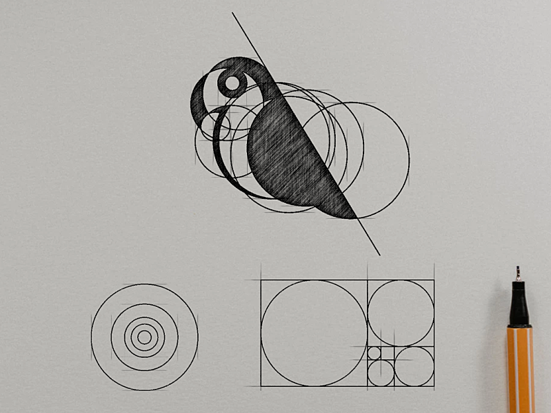 BIRD GOLDEN RATIO by Garagephic Studio on Dribbble