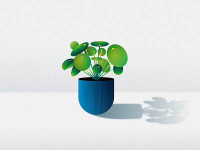 Chinese money plant adobe illustrator botanical digital illustration gradient leaf leaves plant plant illustration texture vector art vector illustration