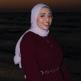Shaimaa Mohsen