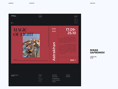 Nikas Safronov Website concept (preview)