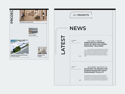 Selldorf Architects website concept illustration ui uidesign ux uxuidesign web design webdesign