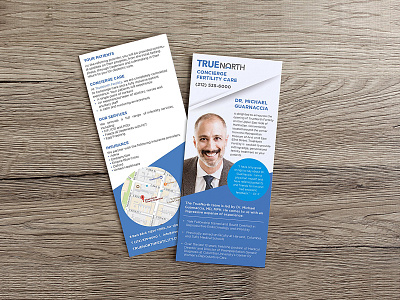 True North Flyer brochure brochure design design designs fertility flyer graphic design medical design