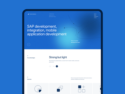 Landing Page for SAP development #2