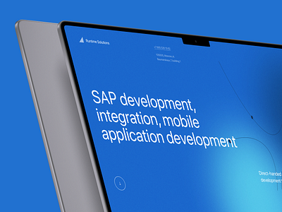 Landing Page for SAP development #1