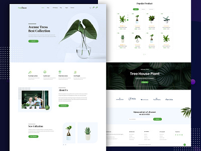 Plant Nursery Website adobe photoshop cc branding clean design illustration typography ui ux web website