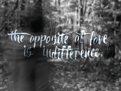 The Opposite of Love custom lettering hand lettering indifference lettering love opposite outdoors photo photography woods