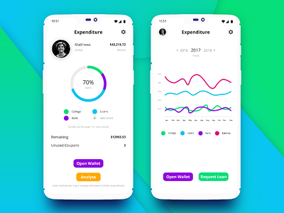 Wallet/Expenditure App UI androidapp androidui design expenditure ui uiux ux wallet