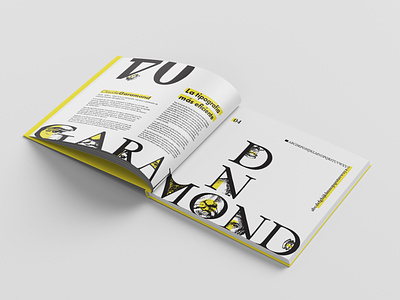 TypeBook Part 2 book editorial identity typography