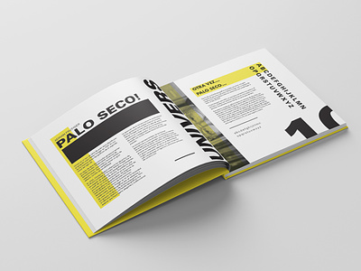 TypeBook Part 4 book branding design editorial identity illustration typography