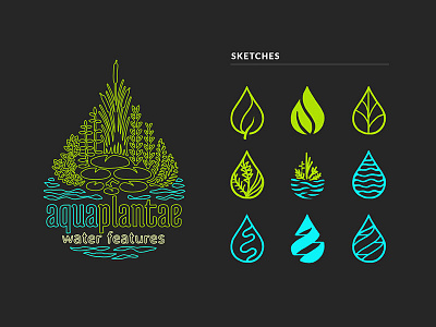 aquaplantae sketches aqua branding design logo plant sketch