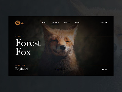 Animal page concept - Forest Fox animal clean dark design desktop e commerce fox interace minimal ui ux web design website