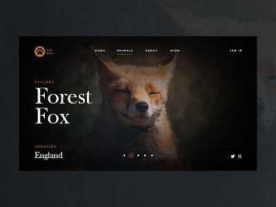 Animal page concept - Forest Fox