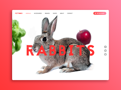 PetFood - Boutique en ligne d'alimentation animale animals design food onlineshop pets shop uidesign uiux uxdesign webdesign website