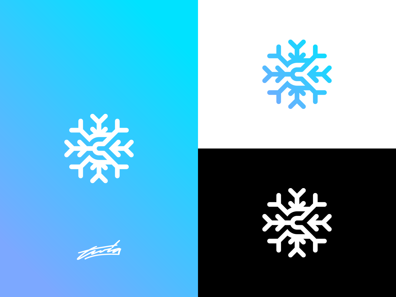 Snowflake Clients And Interfaces - Snowflake Data Warehouse Logo PNG  Transparent With Clear Background ID 278382 | TOPpng
