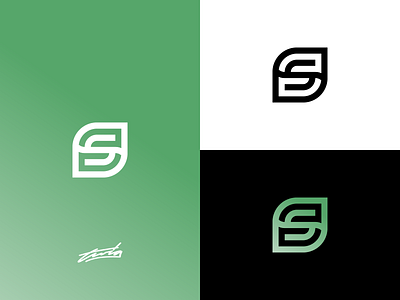 S & Leaf Logo Concept for Sale