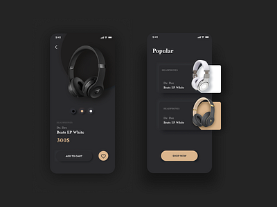 Headphones Shop Concept