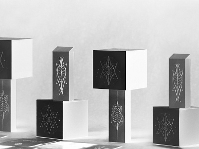 Packaging design for perfume