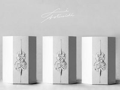 Packaging design for luxurious perfume elegant fashion app graphicdesign lithuanian lithuanianmotives modern packaging packaging design paperart