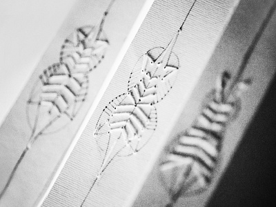 Details of embroidery package abstraction brand design elegant lithuanian modern packaging design