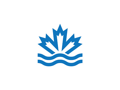 Canadian Water Savings Inc.