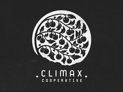 Climax Cooperative Main Mark brand brand identity branding design illustrated logo illustration logo logo design type design type treatment