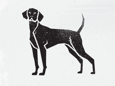 Dog Exploration black dog illustration graphic design graphic designer