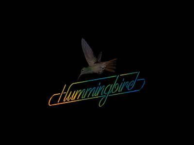 Hummingbird