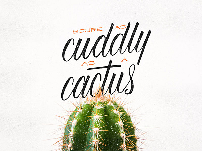 You're as Cuddly as a Cactus