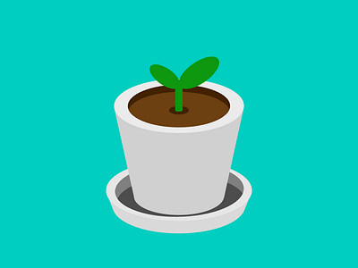 小盆栽Small potted plant excercise isometric plants