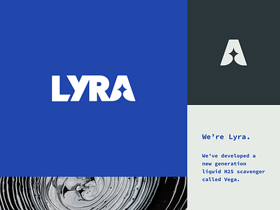Lyra Brand System branding identity logo wordmark
