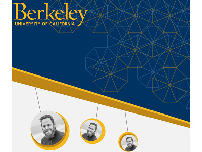 UC Berkeley (website content illustration) design illustration ux