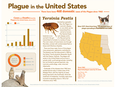 Infographic - Plague In The Uniter States graphic design indesign info graphic infographic infographic design typography