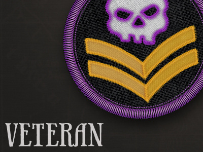 Veteran Merit Badge