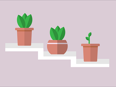 Potted Plants adobeillustrator flat design illustration