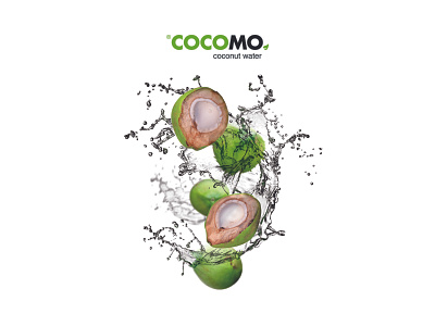 Cocomo Logo and Identity