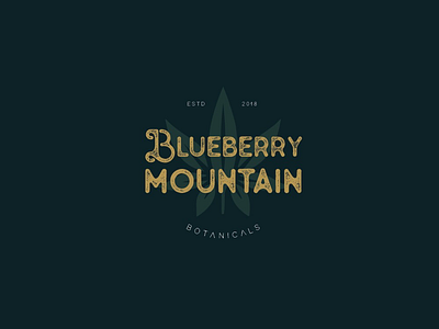 Logo Blueberry Mountain! botanicals branding green hemp inspiration inspire logo design logotype medicine nature vintage