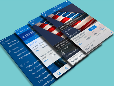 American Airlines for iOS7 american airlines flat ios7 iphone