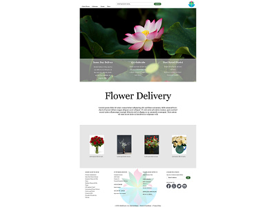 Website Naiad brand branding design flower illustration logo naiad ui ux web website