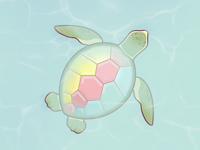 Magic Turtle