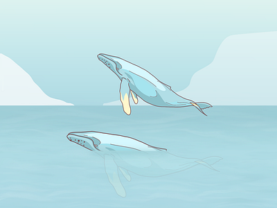 Blue Whale blue ocean procreate sea whale