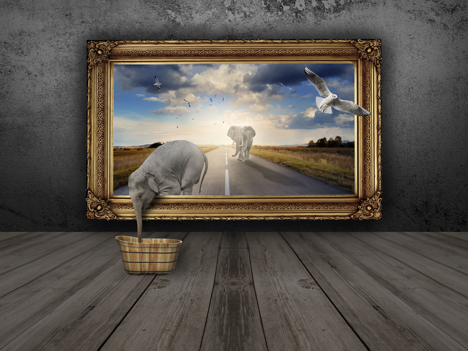 Out of Frame 🖼 by Farah on Dribbble