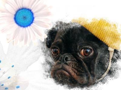 Dog Flowers artdirection blue design identity minimal vector web