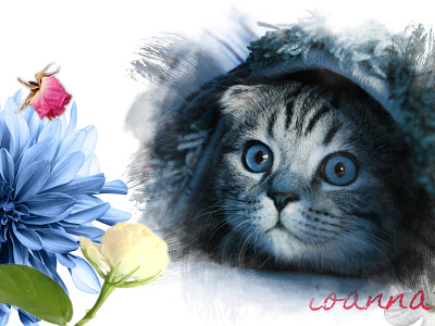 Cat Flowers artdirection blue design identity illustration illustrator minimal vector web