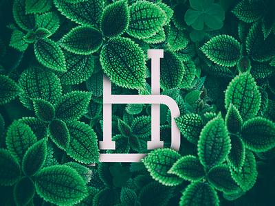 HD Logo Monogram branding concept design dribbble flat icon inspiration leaf logo logo type minimal monogram monogram logo nature