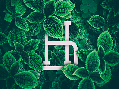 HD Logo Monogram