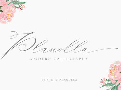 Planolla | Modern Calligraphy